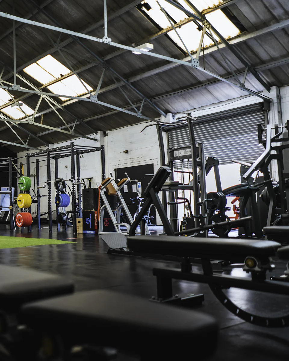 Free weights zone